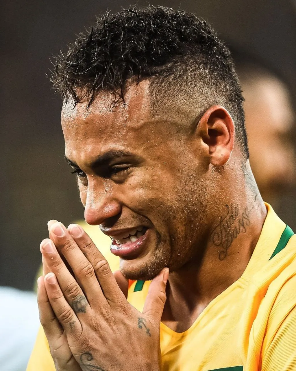 开云下载-首领宰的剧本被猫猫们撕了